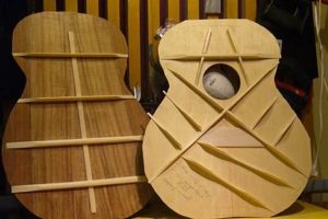 Unveiling the Secrets of Bracing: Acoustic Guitar's Resonant Heart - Master the Art of Playing Guitar and Play Like a Pro