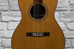 Unveiling the Enchanting World of Brownsville Acoustic Guitars: A Journey of Discovery and Delight - Master the Art of Playing Guitar and Play Like a Pro