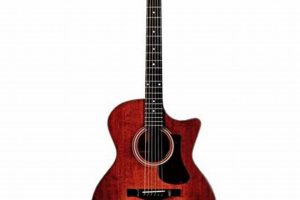 Unveil the Secrets of Auditorium Acoustic Guitars: A Journey of Discovery - Master the Art of Playing Guitar and Play Like a Pro