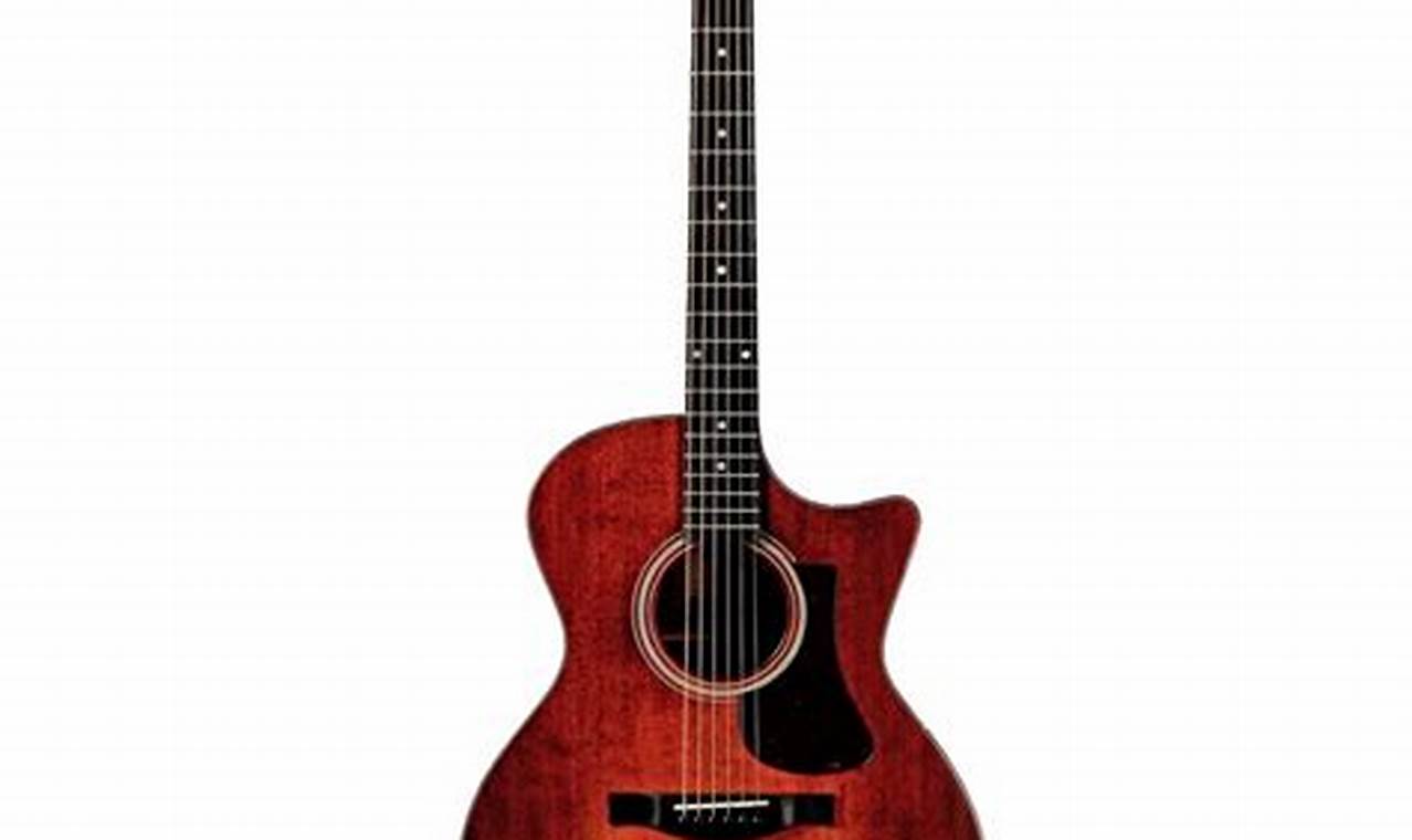 Unveil the Secrets of Auditorium Acoustic Guitars: A Journey of Discovery - Master the Art of Playing Guitar and Play Like a Pro