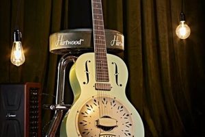 Unveiling the Secrets of Electro Resonator Guitars: A Journey of Discovery - Master the Art of Playing Guitar and Play Like a Pro