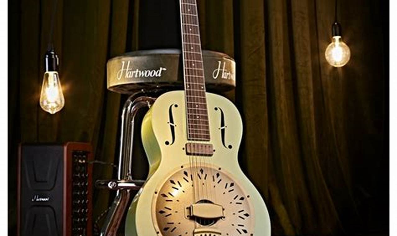 Unveiling the Secrets of Electro Resonator Guitars: A Journey of Discovery - Master the Art of Playing Guitar and Play Like a Pro