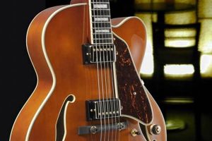 Unveiling the Sonic Gems: Dive into the World of Full Hollow Body Electric Guitars Master the Art of Playing Guitar and Play Like a Pro Unveiling the Sonic Gems: Dive into the World of Full Hollow Body Electric Guitars - Master the Art of Playing Guitar and Play Like a Pro