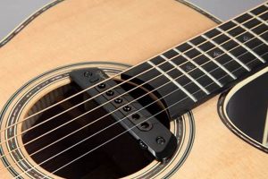 Unveiling the Best Acoustic Guitar Soundhole Pickup: A Journey to Enhanced Sound and Versatility - Master the Art of Playing Guitar and Play Like a Pro