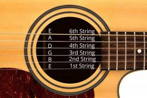 Unveil the Sonic Fusion: Discoveries and Insights on Electric Strings for Acoustic Guitars - Master the Art of Playing Guitar and Play Like a Pro