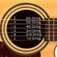Unveil the Sonic Fusion: Discoveries and Insights on Electric Strings for Acoustic Guitars - Master the Art of Playing Guitar and Play Like a Pro