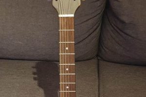 Epi Acoustic Guitar: Unlocking a Universe of Sound Master the Art of Playing Guitar and Play Like a Pro Epi Acoustic Guitar: Unlocking a Universe of Sound - Master the Art of Playing Guitar and Play Like a Pro