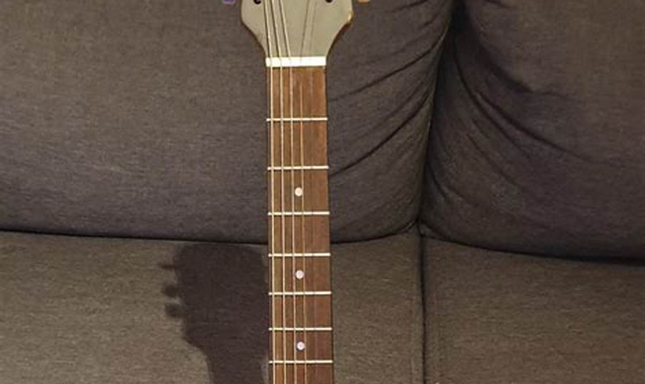 Epi Acoustic Guitar: Unlocking a Universe of Sound - Master the Art of Playing Guitar and Play Like a Pro