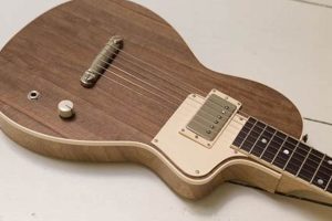 Uncover the Enchanting World of Parlor Electric Guitars: A Journey of Discovery - Master the Art of Playing Guitar and Play Like a Pro