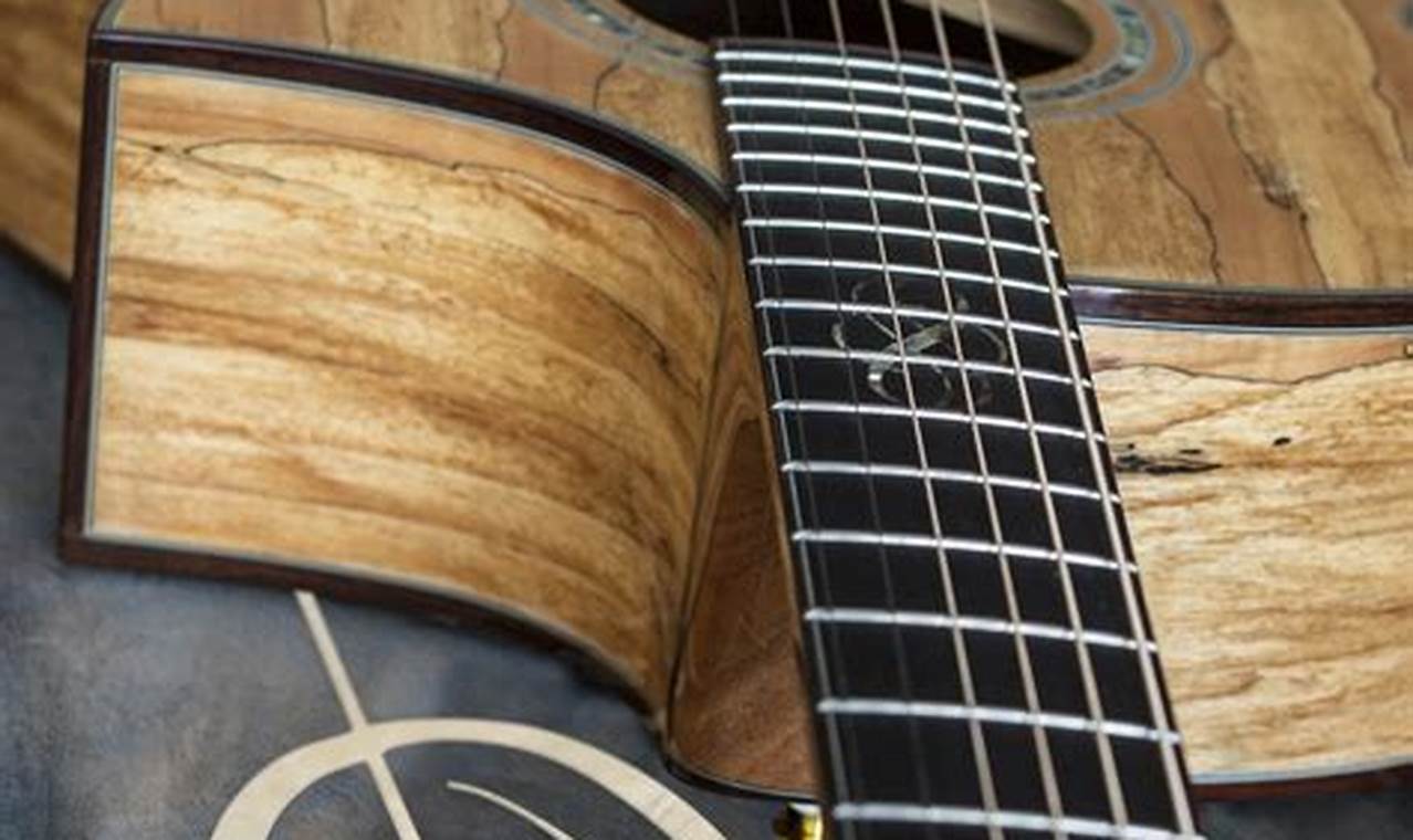 Unveiling the Secrets: A Journey into the World of Expensive Acoustic Guitars - Master the Art of Playing Guitar and Play Like a Pro