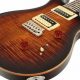 Unveiling the Secrets of the PRS SE Custom 24: A Journey of Sonic Delights - Master the Art of Playing Guitar and Play Like a Pro