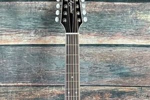 Unveiling the Secrets of Left-Hand 12-String Guitars: A Gateway to Musical Mastery - Master the Art of Playing Guitar and Play Like a Pro