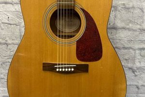 Discover the Secrets of the Fender DG-7 Acoustic Guitar: A Sonic Journey - Master the Art of Playing Guitar and Play Like a Pro