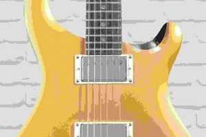 Unveil the Secrets of the Solidbody Electric Guitar: A Journey of Discovery - Master the Art of Playing Guitar and Play Like a Pro