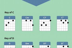 Unlocking the Secrets of Extended Chords for an Extraordinary Guitar Experience - Master the Art of Playing Guitar and Play Like a Pro