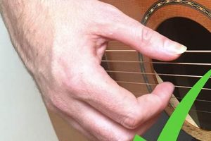 Unveiling the Secrets of Finger Picks for Acoustic Mastery Master the Art of Playing Guitar and Play Like a Pro Unveiling the Secrets of Finger Picks for Acoustic Mastery - Master the Art of Playing Guitar and Play Like a Pro