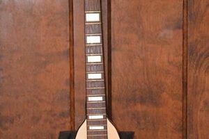 Unleash the Flying V Acoustic: Discoveries and Insights for Acoustic Enthusiasts Master the Art of Playing Guitar and Play Like a Pro Unleash the Flying V Acoustic: Discoveries and Insights for Acoustic Enthusiasts - Master the Art of Playing Guitar and Play Like a Pro