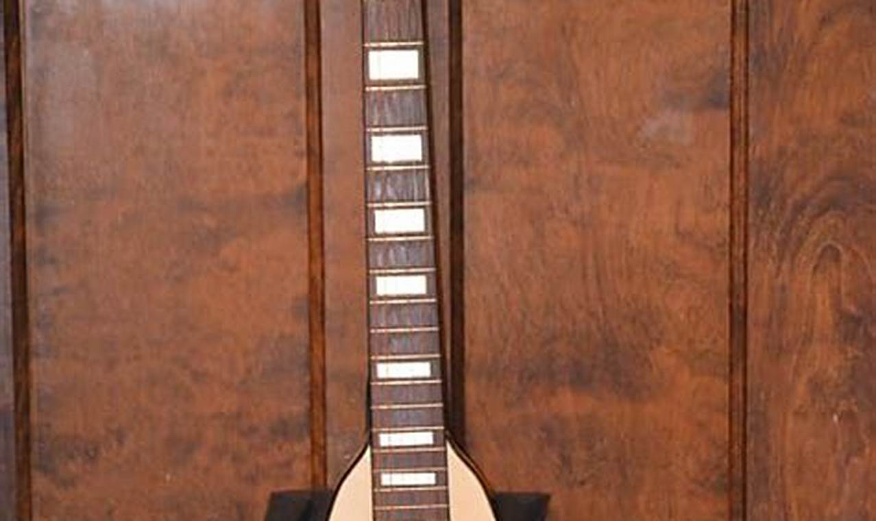 Unleash the Flying V Acoustic: Discoveries and Insights for Acoustic Enthusiasts - Master the Art of Playing Guitar and Play Like a Pro