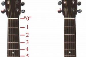 Unlock the Secrets of Acoustic Guitar Frets: Discoveries and Insights for the Acoustic Niche - Master the Art of Playing Guitar and Play Like a Pro