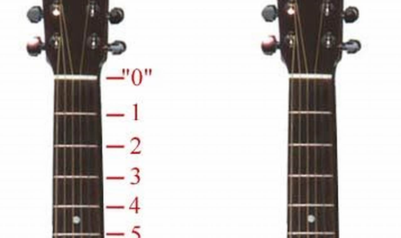 Unlock the Secrets of Acoustic Guitar Frets: Discoveries and Insights for the Acoustic Niche - Master the Art of Playing Guitar and Play Like a Pro