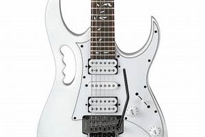Unveiling the Secrets of the Ibanez JEMJR Steve Vai: Electric Guitar Excellence - Master the Art of Playing Guitar and Play Like a Pro