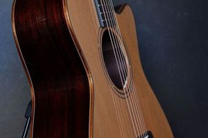 Discover the Enchanting World of Furch Acoustic Guitars - Master the Art of Playing Guitar and Play Like a Pro