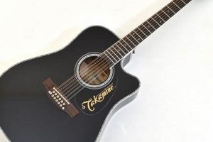 Unlock the Secrets of the Enchanting 12-String Takamine Guitar - Master the Art of Playing Guitar and Play Like a Pro