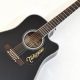 Unlock the Secrets of the Enchanting 12-String Takamine Guitar - Master the Art of Playing Guitar and Play Like a Pro