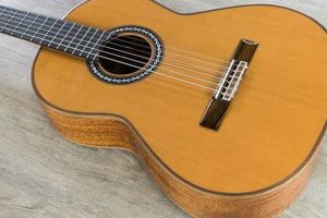 Unveiling the Enchanting World of Parlor Nylon String Guitars: Discoveries and Insights - Master the Art of Playing Guitar and Play Like a Pro