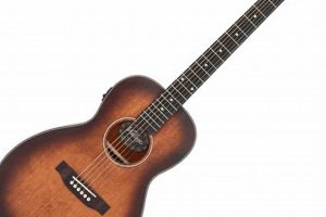Uncover the Secrets of Exceptional Small Body Acoustic Guitars: A Journey of Discovery - Master the Art of Playing Guitar and Play Like a Pro