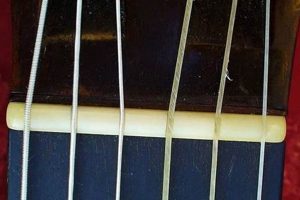 Unveil the Secrets of Guitar Gut Strings: A Journey of Discovery and Insight - Master the Art of Playing Guitar and Play Like a Pro