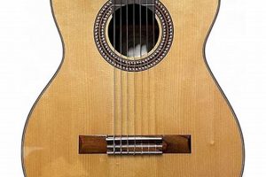 Unveiling the Treasures and Secrets of Used Acoustic Guitars Master the Art of Playing Guitar and Play Like a Pro Unveiling the Treasures and Secrets of Used Acoustic Guitars - Master the Art of Playing Guitar and Play Like a Pro