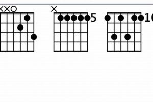 Unleash the D11 Chord's Secrets: Uncover New Horizons in Guitar Mastery - Master the Art of Playing Guitar and Play Like a Pro