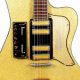 Unveil the Allure of Italian Electric Guitars: Discover Craftsmanship, History, and Global Impact - Master the Art of Playing Guitar and Play Like a Pro
