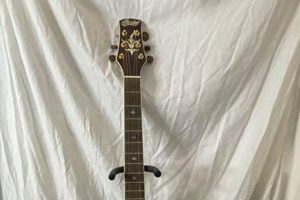 Discover the Exquisite World of Copley Acoustic Guitars: Unveiling Unparalleled Sound and Craftsmanship - Master the Art of Playing Guitar and Play Like a Pro