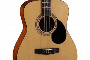 Unlock the Sonic Treasures of Cort Acoustic Guitars: A Journey of Discovery and Insight - Master the Art of Playing Guitar and Play Like a Pro