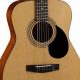 Unlock the Sonic Treasures of Cort Acoustic Guitars: A Journey of Discovery and Insight - Master the Art of Playing Guitar and Play Like a Pro