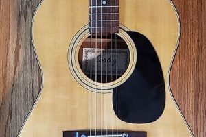 Unveiling the Secrets of Cortez Acoustic Guitars: A Journey of Sound and Craftsmanship - Master the Art of Playing Guitar and Play Like a Pro