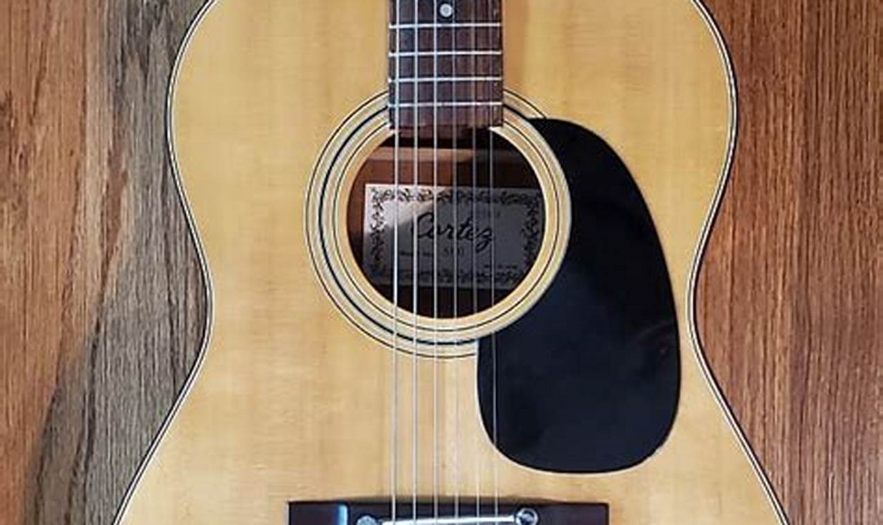 Unveiling the Secrets of Cortez Acoustic Guitars: A Journey of Sound and Craftsmanship - Master the Art of Playing Guitar and Play Like a Pro