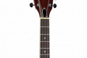 Unveiling the Dean Acoustic V Guitar: Exceptional Sound, Unmatched Craftsmanship - Master the Art of Playing Guitar and Play Like a Pro
