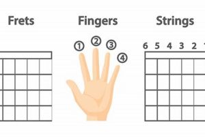 Unveiling the Secrets of Effortless Guitar Playing: Discover Strings that Pamper Your Fingers - Master the Art of Playing Guitar and Play Like a Pro