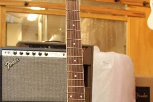 Unleash the Power of the Dean Flying V Acoustic Guitar: Discoveries and Insights Await - Master the Art of Playing Guitar and Play Like a Pro