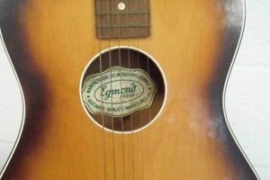 Discover Egmond Acoustic Guitars: Unveiling a Sonic Masterpiece - Master the Art of Playing Guitar and Play Like a Pro