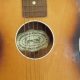 Discover Egmond Acoustic Guitars: Unveiling a Sonic Masterpiece - Master the Art of Playing Guitar and Play Like a Pro