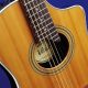 Unveiling the Acoustic Powerhouse: Discoveries with Line 6 Variax 700 - Master the Art of Playing Guitar and Play Like a Pro