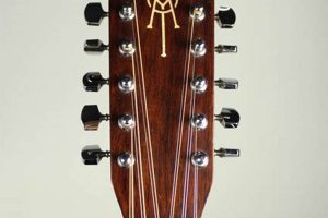 Unveil the Enchanting Alchemy of "Alvarez Yairi 12 String Guitar" - Master the Art of Playing Guitar and Play Like a Pro