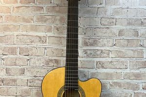 Unveil the Secrets of Exceptional Lucero Acoustic Guitars: A Journey of Discovery - Master the Art of Playing Guitar and Play Like a Pro