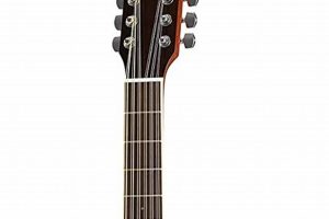 Unveil the Best Budget 12 String Guitar: Discoveries and Insights - Master the Art of Playing Guitar and Play Like a Pro