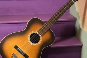 Discover the Secrets and Soundscapes of the Stella Harmony 12 String Guitar - Master the Art of Playing Guitar and Play Like a Pro