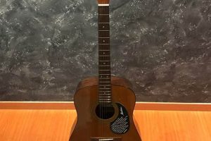 Unveil the Secrets of Montana Acoustic Guitar Pricing: Discoveries and Insights - Master the Art of Playing Guitar and Play Like a Pro